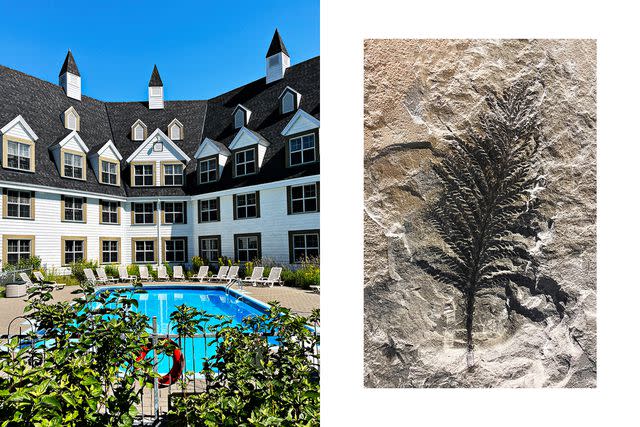 <p>William Craig Moyes</p> From left: Gîte du Mont-Albert, a hotel in Gaspésie National Park; a fern fossil at Miguasha National Park's natural history museum.