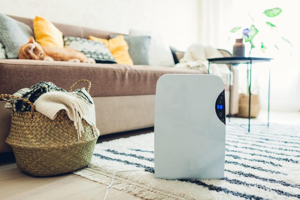 air purifier in living room