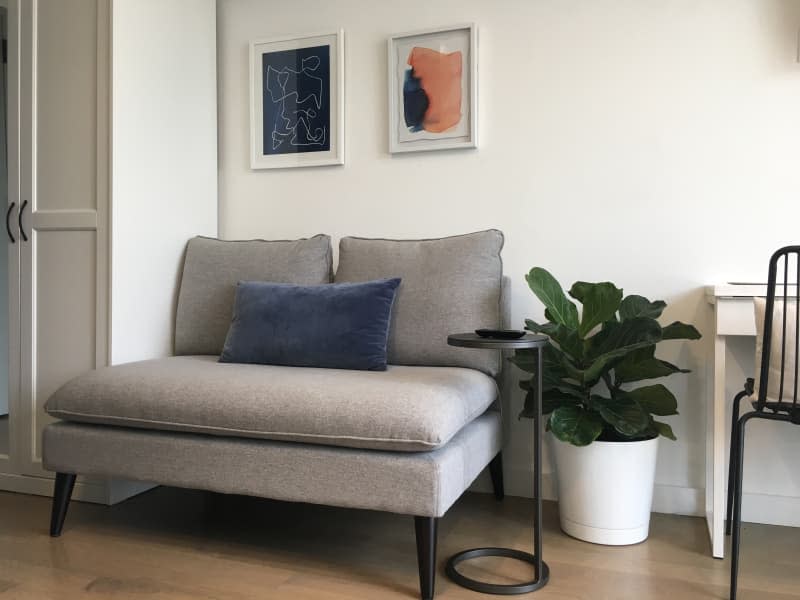 Gray loveseat and plant in corner