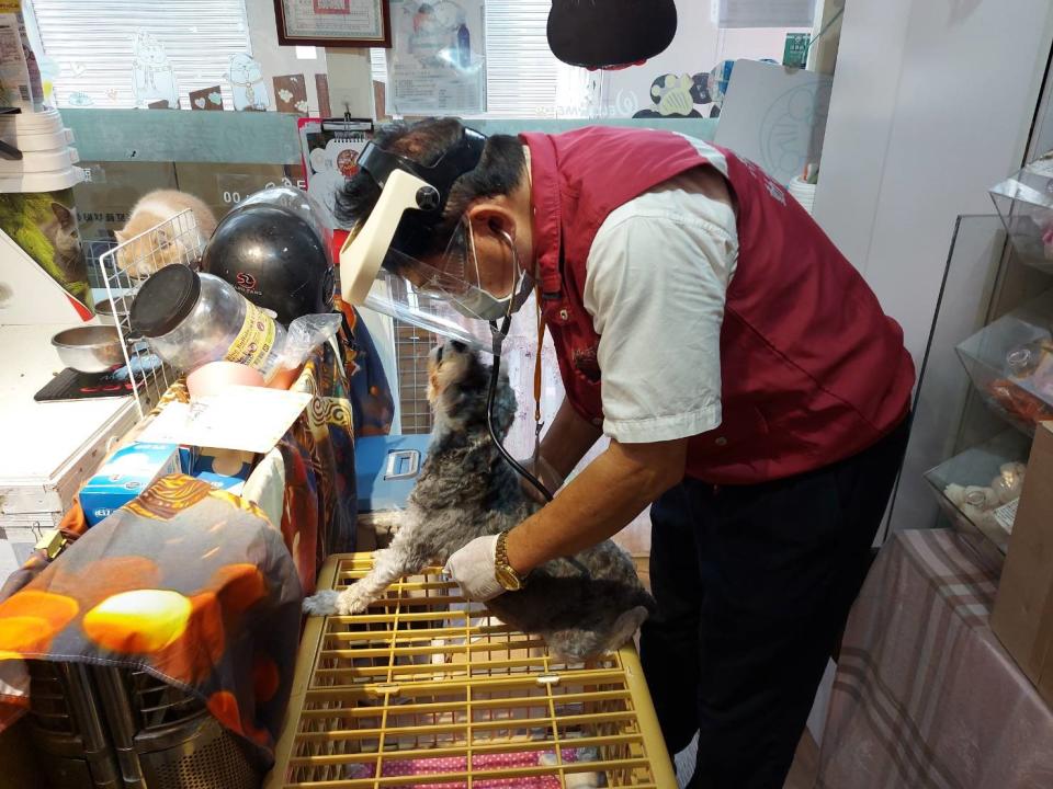 動保處獸醫彭明發至新莊頭等艙寵物旅館，巡檢寵物健康狀況，同時檢查ECHO的健康情形。   圖、新北市動保處提供