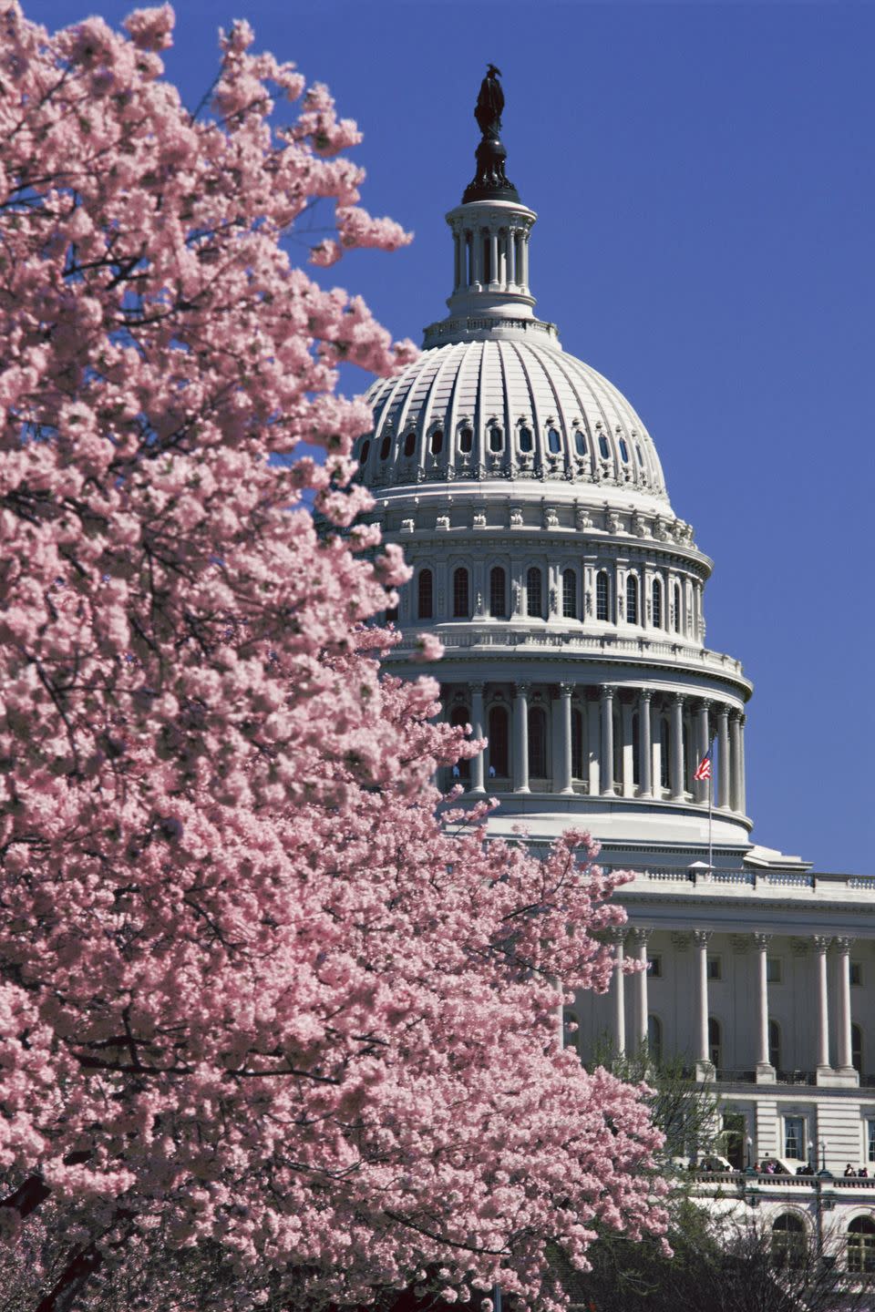 <p>The U.S. capital transforms into a botanical paradise with gorgeous cherry blossoms blooming from countless trees flanking the streets and parks. The pink and white petals fall to the ground turning sidewalks into pastel-colored paths that are almost too pretty to walk on. The best place to see these awe-inspiring flowers? <a href="https://nationalcherryblossomfestival.org/" rel="nofollow noopener" target="_blank" data-ylk="slk:The National Cherry Blossom Festival;elm:context_link;itc:0;sec:content-canvas" class="link ">The National Cherry Blossom Festival</a> (March 20 - April 16), of course. Get an up-close-and-personal look at these magnificent wonders sprinkled around the Tidal Basin in West Potomac Park, in East Potomac Park (Hains Point) and on the Washington Monument grounds. </p><p>After you’ve taken in the sights, visitors can stay at the <a href="https://www.salamanderdc.com/" rel="nofollow noopener" target="_blank" data-ylk="slk:Salamander Washington DC;elm:context_link;itc:0;sec:content-canvas" class="link ">Salamander Washington DC</a>, which is just minutes from popular attractions and restaurants. What’s more, many of the hotel’s 373 rooms and suites overlook the Potomac River and Tidal Basin — giving guests a first-hand glimpse of the gorgeous cherry blossoms. Plus, if you want to really unwind, don’t miss the spa for special offerings like the Cherry Blossom Treatment, a seasonal full body ritual inspired by Japanese tradition.</p><p><a class="link " href="https://go.redirectingat.com?id=74968X1596630&url=https%3A%2F%2Fwww.tripadvisor.com%2FTourism-g28970-Washington_DC_District_of_Columbia-Vacations.html&sref=https%3A%2F%2Fwww.goodhousekeeping.com%2Flife%2Ftravel%2Fg42735821%2Fbest-places-to-travel-in-april%2F" rel="nofollow noopener" target="_blank" data-ylk="slk:Shop Now;elm:context_link;itc:0;sec:content-canvas">Shop Now</a></p>