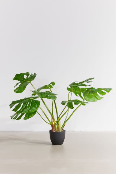 5) Faux Monstera