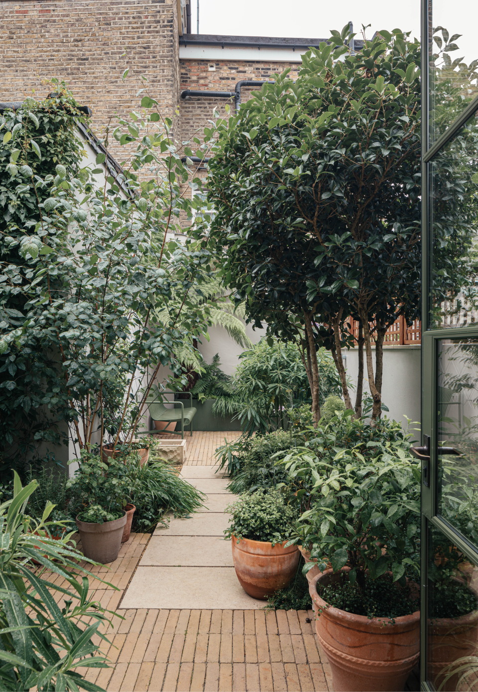 Incorporating large plants helps trick your mind and eye into believing a small garden is larger than it is (Handout)