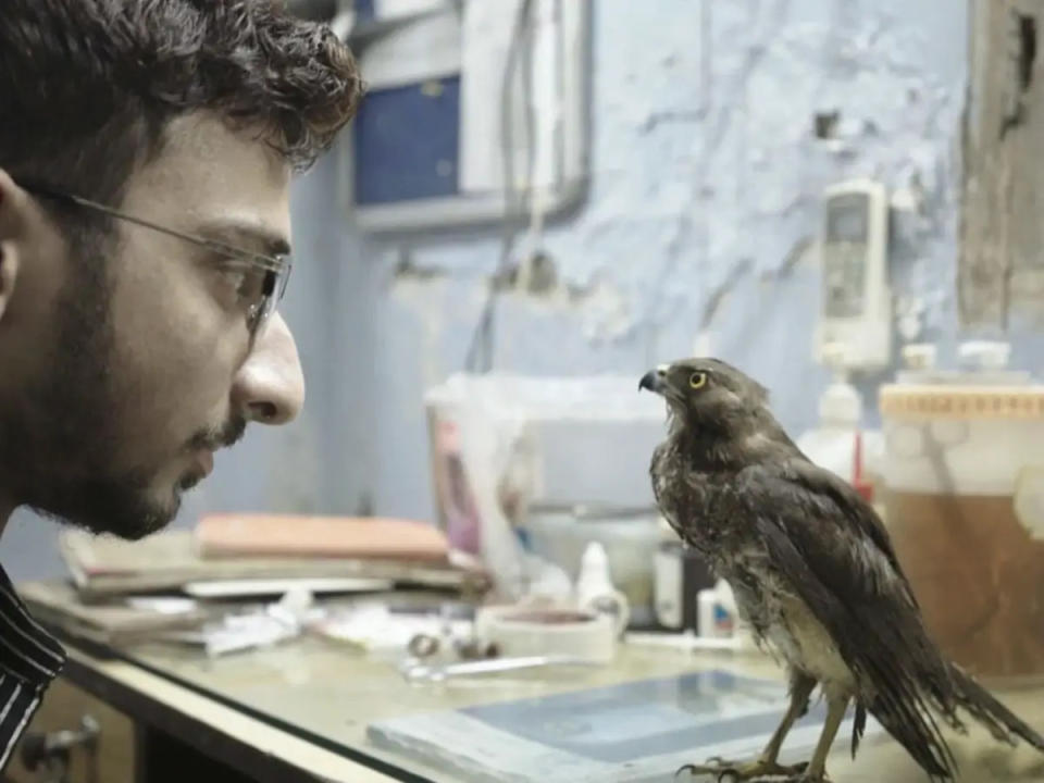 The relationship of man and bird is explored in the Oscar-nominated documentary "All That Breathes."