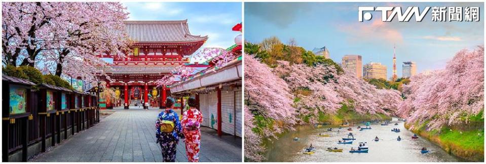 東京櫻花花期預計自3月中旬開始，淺草寺、千鳥淵都是著名的賞櫻景點。（圖／易遊網）