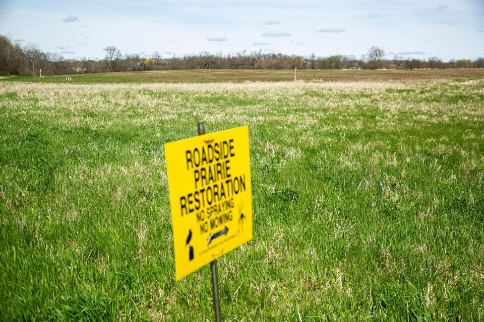 A sign marks where a prairie restoration is in progress Wednesday at the University of Iowa Ashton Cross Country Course in Iowa City. It's part of the university's efforts to attract more pollinator species, which are essential to a healthy habitat.