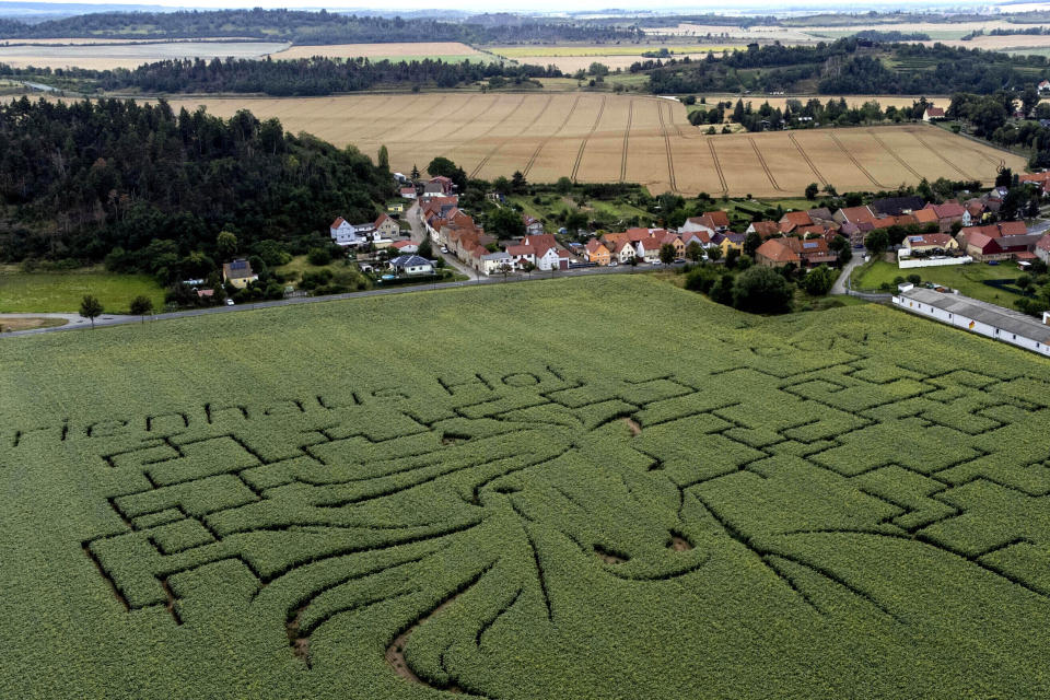 A sunflower labyrinth shows a horse in Westerhausen, Germany, Monday, July 31, 2023. (AP Photo/Matthias Schrader)