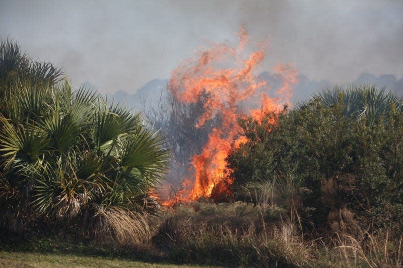 Multiple units have responded to a brush fire at Oscar Scherer State Park.