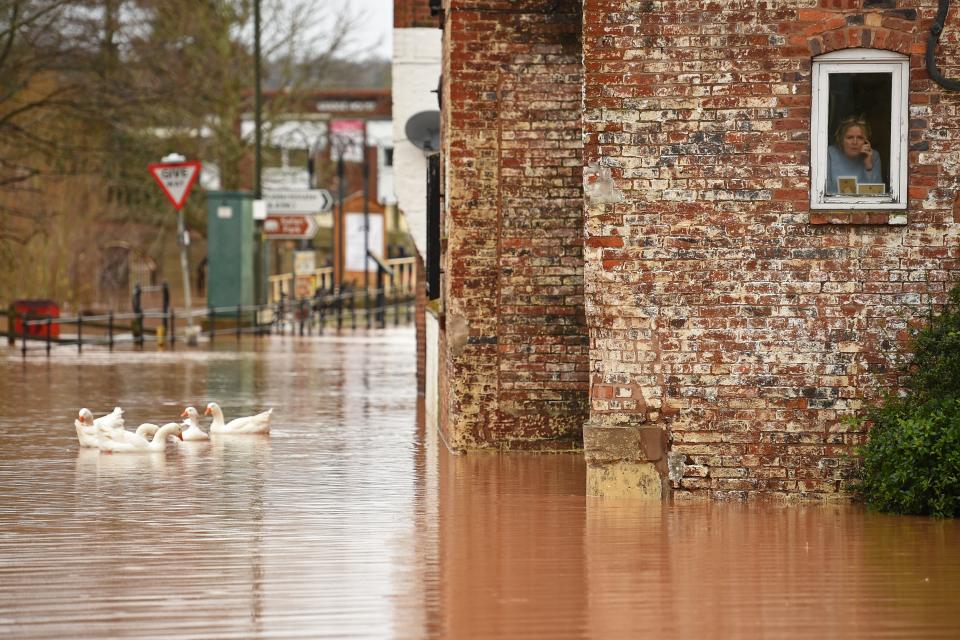 TOPSHOT - A woman looks out of her window as geese swim past in floodwater after the River Severn bursts it's banks in Bewdley, west of Birmingham on February 16, 2020, after Storm Dennis caused flooding across large swathes of Britain. - As Storm Dennis sweeps in, the country is bracing itself for widespread weather disruption for the second weekend in a row. Experts have warned that conditions amount to a "perfect storm", with hundreds of homes at risk of flooding. (Photo by Oli SCARFF / AFP) (Photo by OLI SCARFF/AFP via Getty Images)