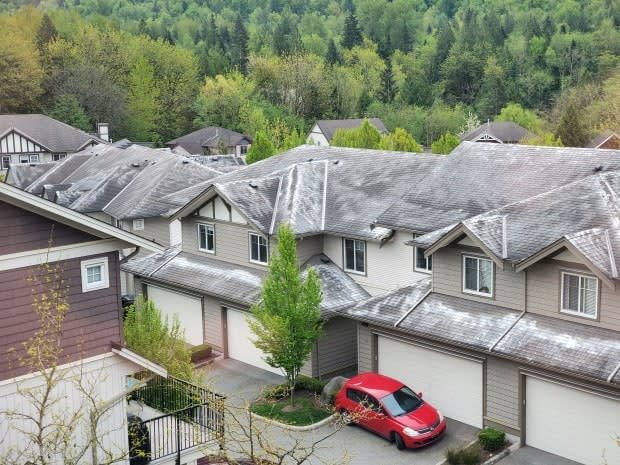 Powdered laundry detergent is shown on the roofs of a 140-unit townhome complex on the side of Sumas Mountain in Abbotsford, B.C., earlier this week.