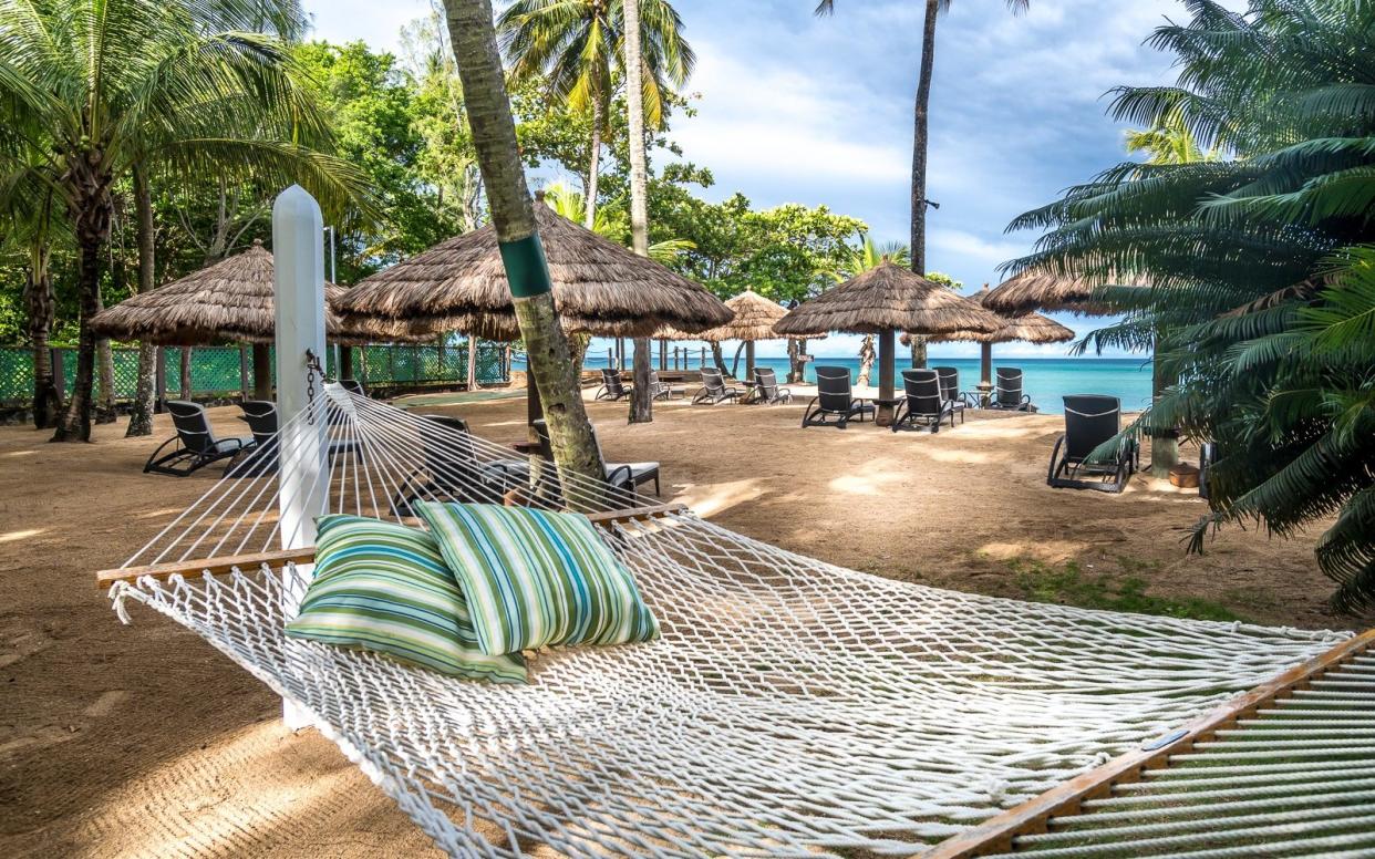 Beach hammock at East Winds