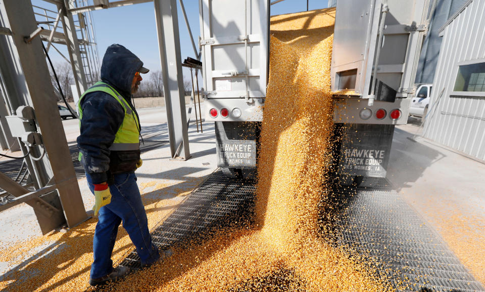 FILE - In this April 5, 2018, file photo, Phil Conklin unloads corn from a truck at the Heartland Co-op, in Redfield, Iowa. The federal government said Friday, Sept. 18, 2020, it would give farmers another $14 billion to compensate them for the difficulties they've experienced selling their crops, milk and meat because of the coronavirus pandemic. (AP Photo/Charlie Neibergall, File)