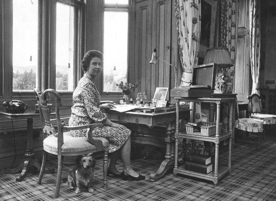 <p>After her father became King in 1936, Princess Elizabeth began studying constitutional history and law. Her Majesty also studied French, German and music when she was educated at home. </p>