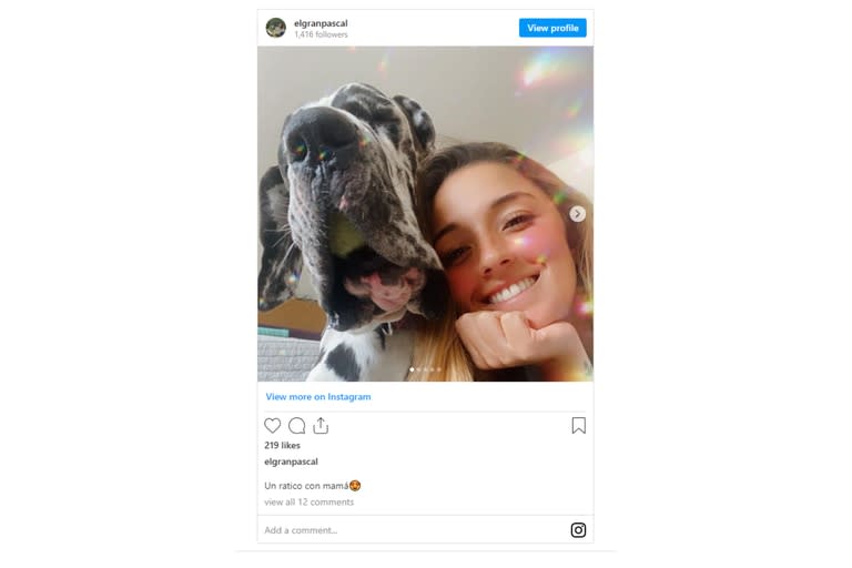 Gabriela Andrade posa junto a su perro Pascal