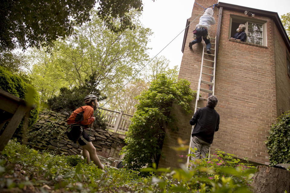 Homeowner Tom Patton, bottom right, stands next to rock climber Paul Stanton, left, as he belays his beekeeper friend Erin Gleeson, top left, as she works with fellow beekeeper Sean Kennedy, right, to try to find a swarm of honey bees that has gone into an attic space, Saturday, April 25, 2020, in Washington. (AP Photo/Andrew Harnik)