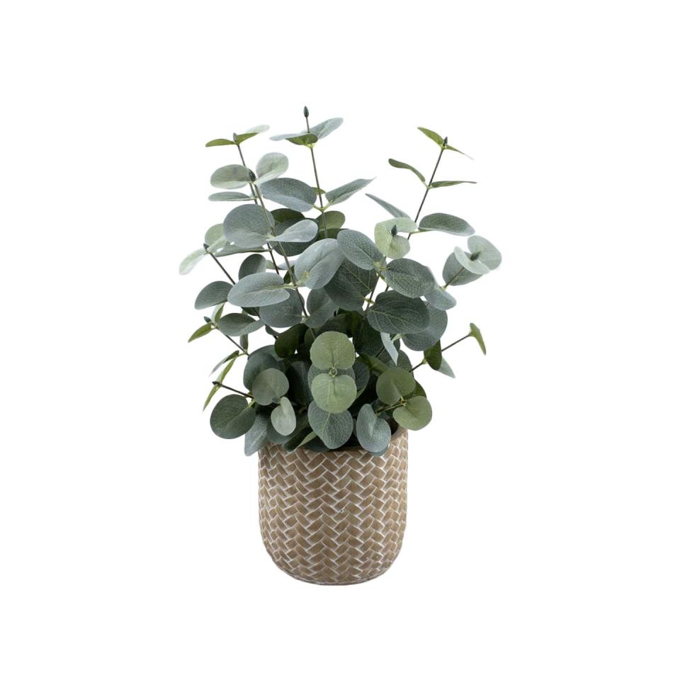 <p>Jump on the eucalyptus trend with this artificial potted plant from Mrs Hinch's range. With a zigzag textured ceramic planter and life-like leaves, it's the perfect addition to any space — and will never need to be watered!</p><p><a class="link " href="https://www.tesco.com/groceries/en-GB/buylists/mrs_hinch/mrs-hinch" rel="nofollow noopener" target="_blank" data-ylk="slk:SHOP THE RANGE;elm:context_link;itc:0;sec:content-canvas">SHOP THE RANGE</a></p><p><strong>Follow House Beautiful on <a href="https://www.instagram.com/housebeautifuluk/" rel="nofollow noopener" target="_blank" data-ylk="slk:Instagram;elm:context_link;itc:0;sec:content-canvas" class="link ">Instagram</a>.</strong></p>