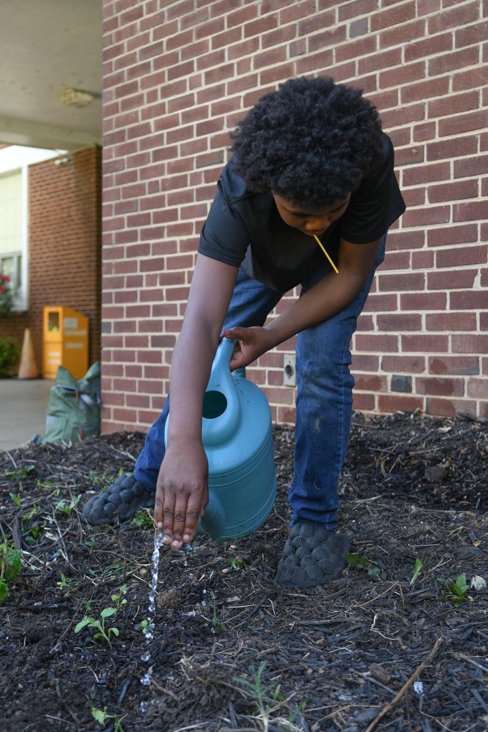 Sixth grader Deondre Jacobs waters seedlings in the Vine Middle School garden.