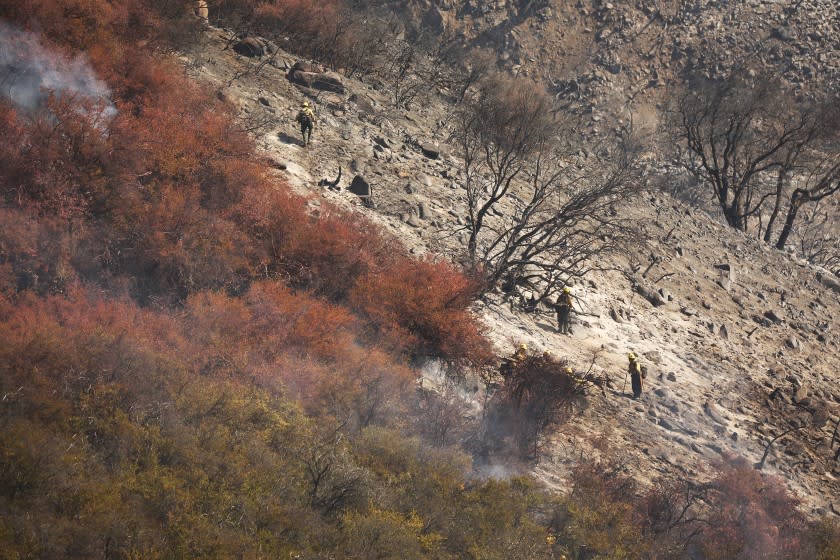 GAVIOTA COAST, CA, CA - OCTOBER 14: Firefighters from multiple agencies fight the eastern flank of the Alisal Fire along upper Refugio Canyon as it continues to burn Thursday afternoon at near 16,801 acres with 1306 Firefighters on scene. Aircraft will be up making drops throughout the day in support of ground resources putting in line and defending structures. The fire stared Monday afternoon and grew quickly driven by sundowner winds as it burned through Tajiguas Canyon to the 101 freeway forcing closure of the 101 freeway. Mandatory evacuations are in place but winds have subsided Thursday. The 1955 Refugio Fire that consumed 80,000 acres is the last time much of the area had burned. The historic Reagan Rancho del Cielo which sits near the top of Refugio Canyon could be threatened by the flames as the fire moves into Refugio Canyon. Refugio Road on Thursday, Oct. 14, 2021 in Gaviota Coast, CA, CA. (Al Seib / Los Angeles Times).