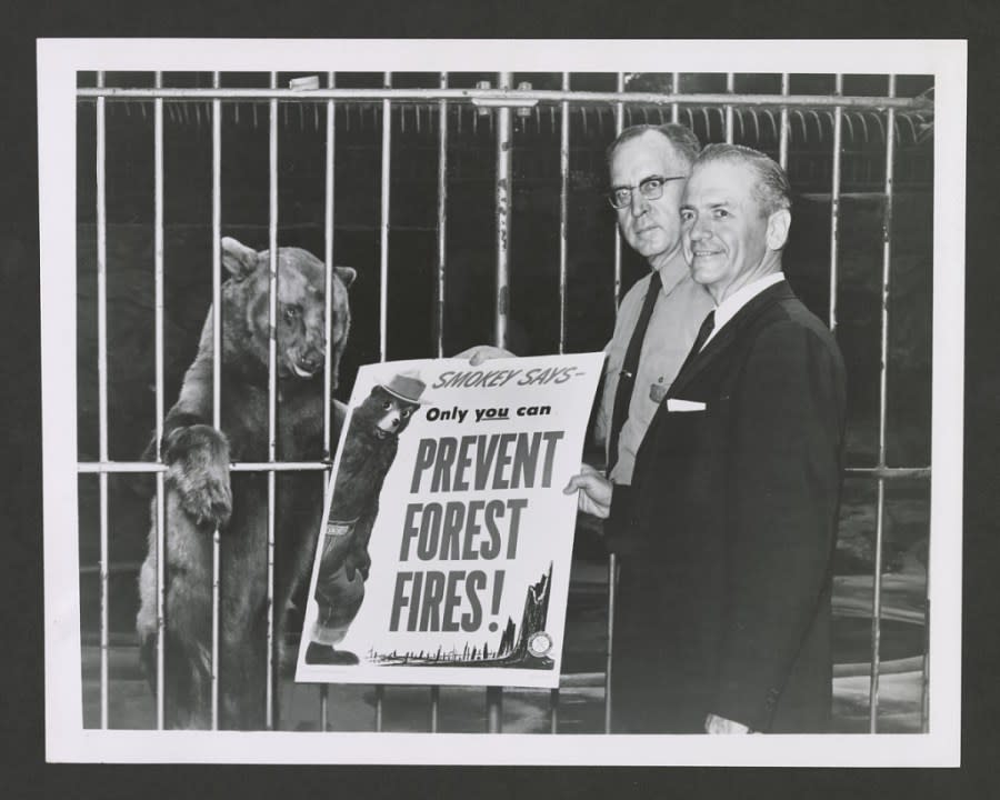 Smokey Bear poses with poster at the National Zoo. Courtesy of Smithsonian archives.