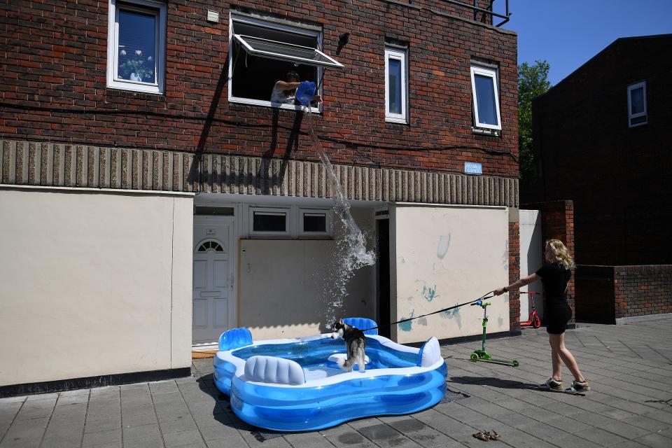 Kids and pups kept cool in a paddling pool in Hackney, east London
