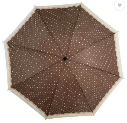 10 coolest umbrellas to buy for monsoon