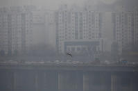 A bird flies on a polluted day in Seoul, South Korea, March 12, 2019. REUTERS/Kim Hong-ji