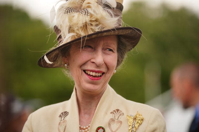 The Princess Royal smiling at a garden party at Buckingham Palace