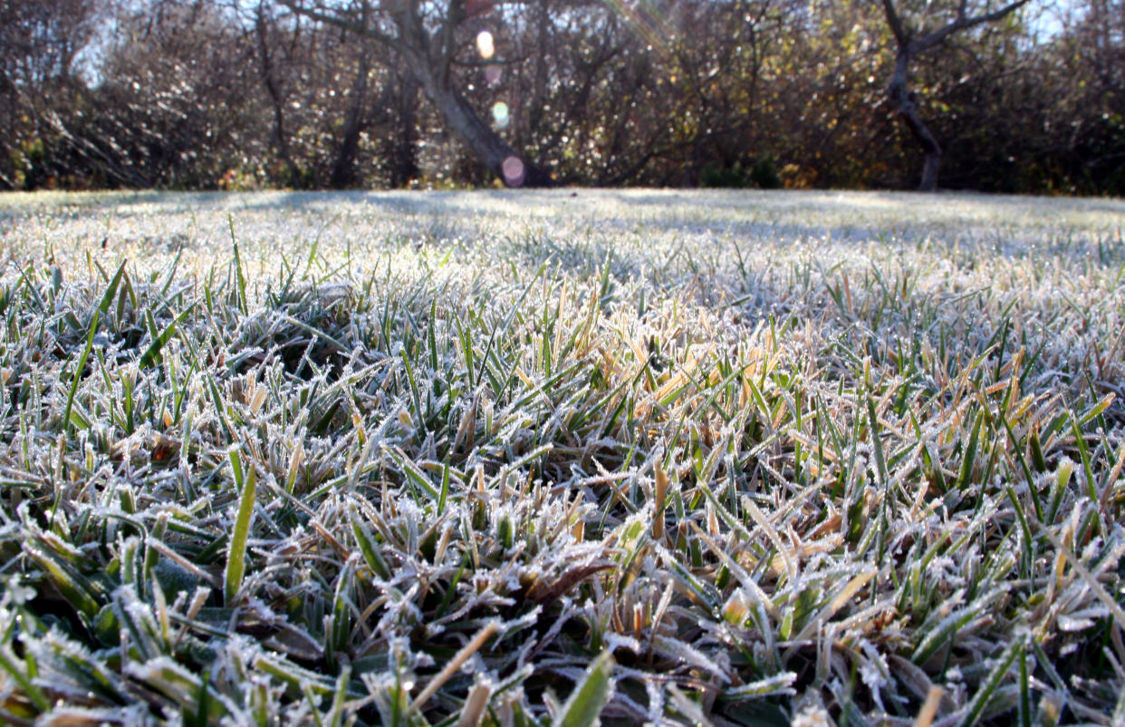  Frost lawn. 