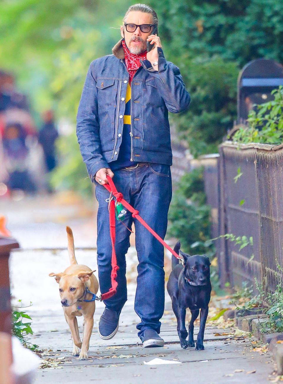 <p>Birthday boy Ethan Hawke, who turns 50 on Friday, chats on the phone while walking his dogs through N.Y.C.</p>