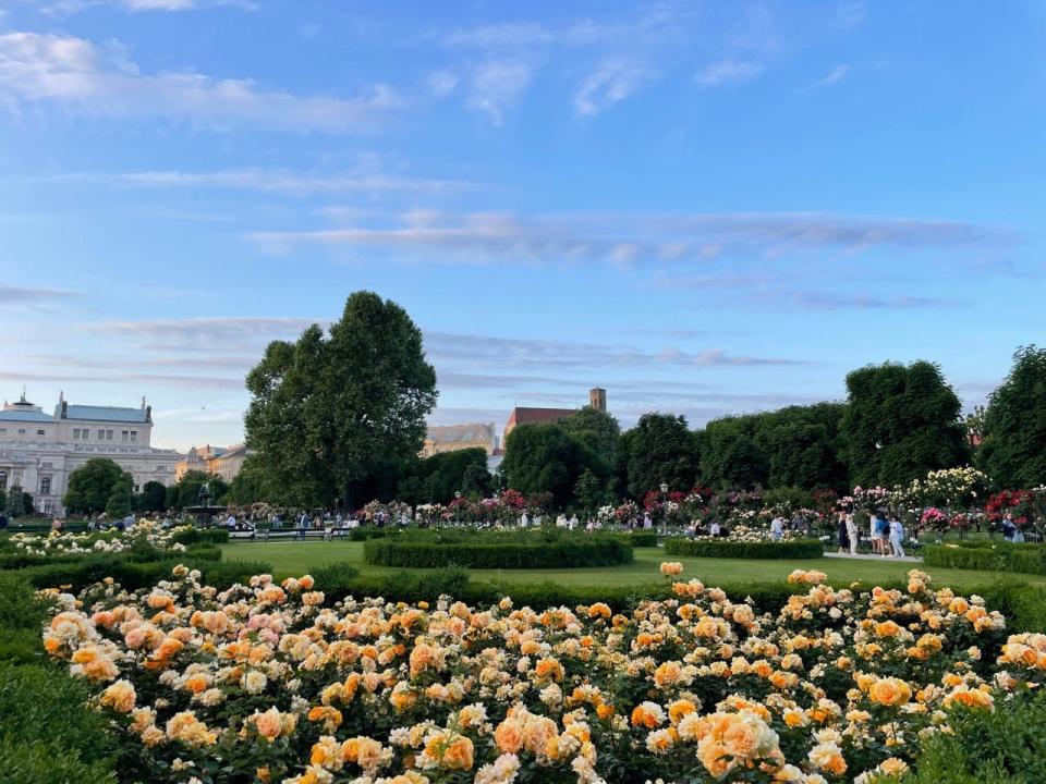 Yellow flowers, trees, and shrubs in a park in Vienna