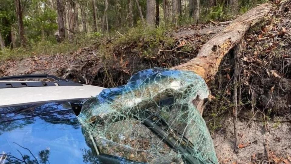 Schoolies crash into tree. Picture Facebook.jpg