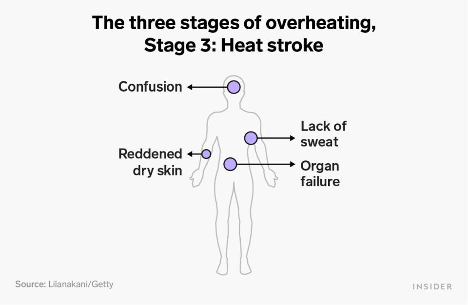 Symptoms of the second stage of overheating (heat stroke) including confusion, lack of sweat, reddened dry skin, and organ failure