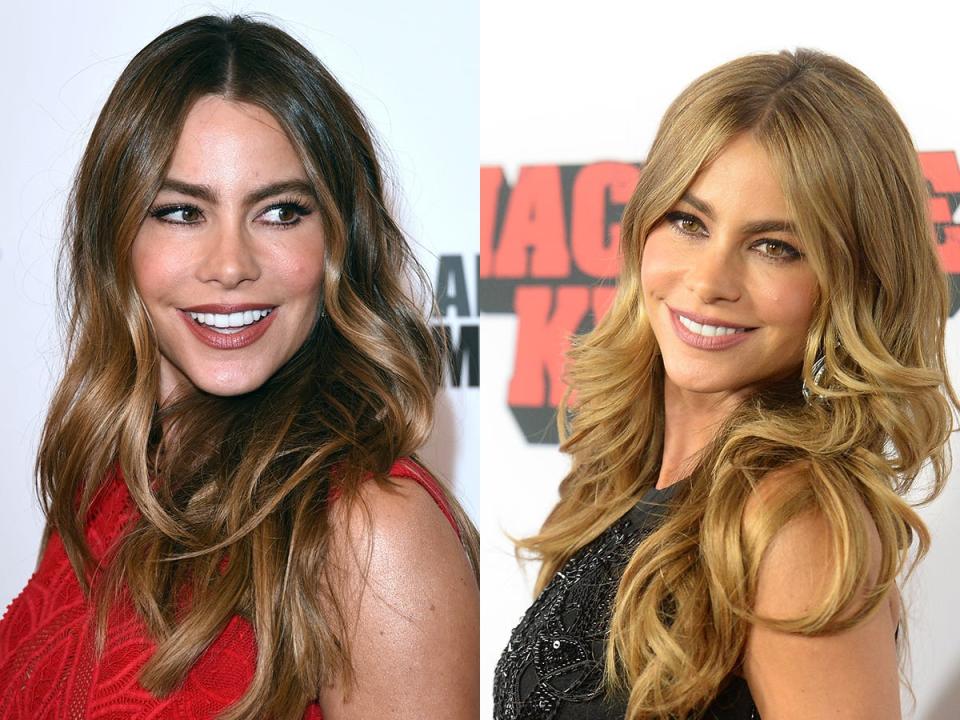 sofia vergara hair