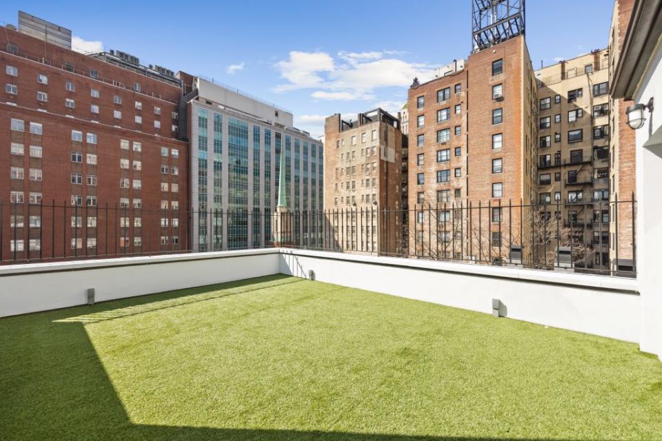 The Upper East Side townhouse comes with lots of green space if you don’t want to walk to Central Park. Russ Ross Photography, Inc.