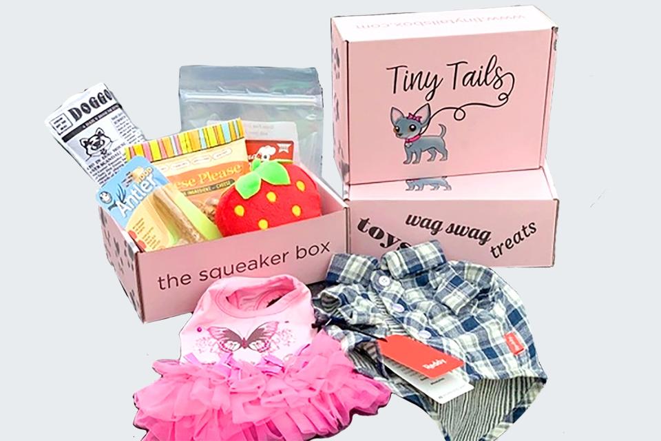 pet subscription boxes