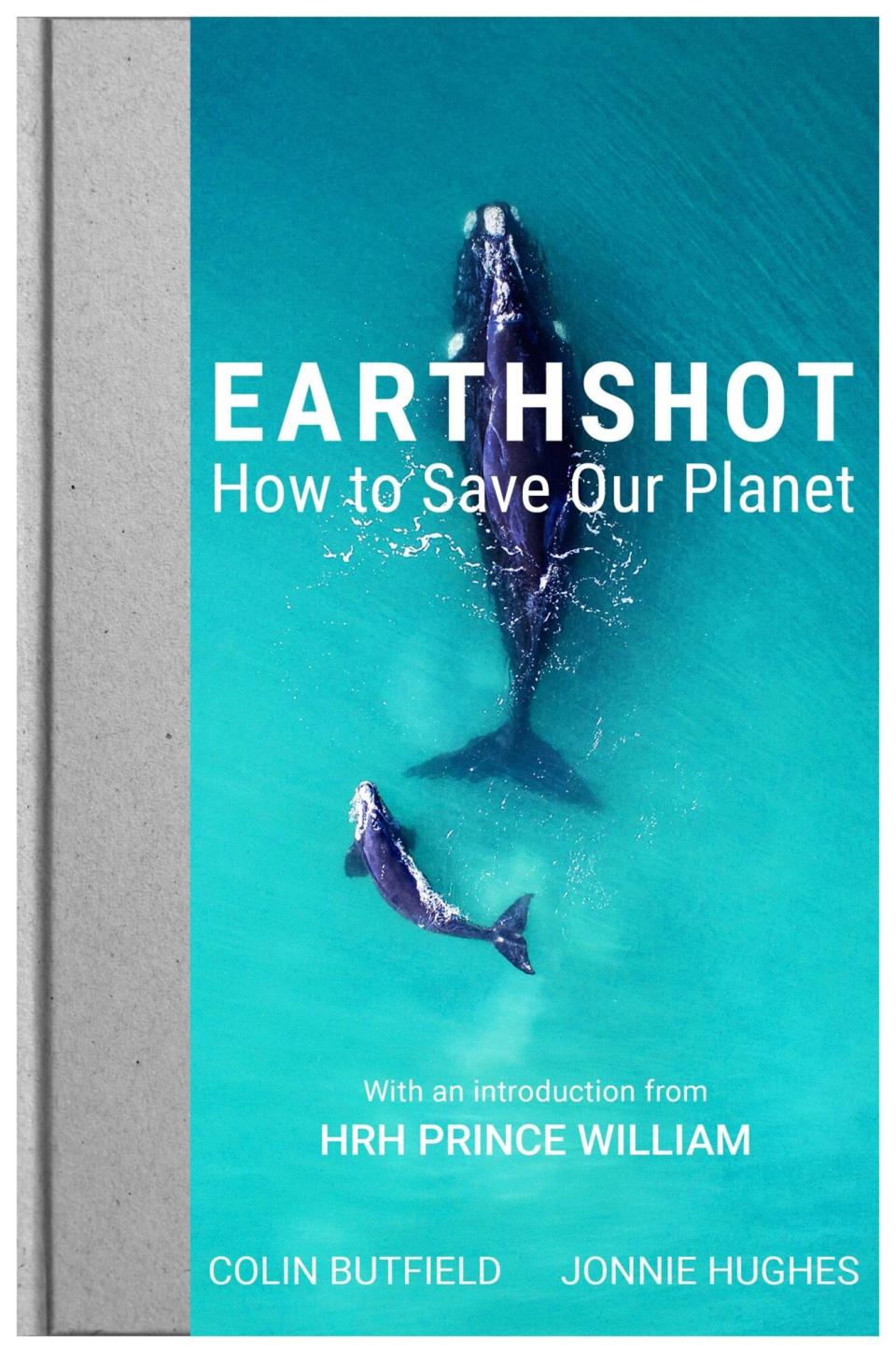 Earthshot - How to Save our Planet