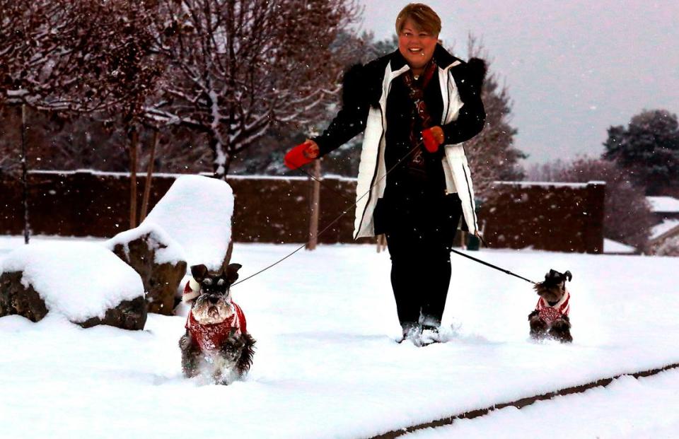 Dee Reese of Kennewick walks her two sweater wearing miniature Schnauzers early Monday morning near Volunteer Park off Canyon Lakes Drive in Kennewick. Reese said Piper is “snow professional” and Bella, her new puppy experiencing her first snowfall, is “still trying to decide if she likes it.”