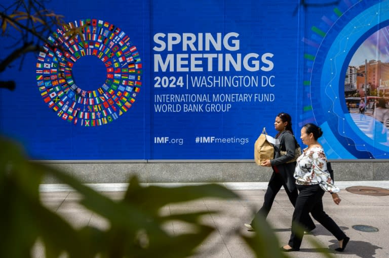 The IMF warned that government debt levels could be impacted by the sheer number of elections happening this year (MANDEL NGAN)