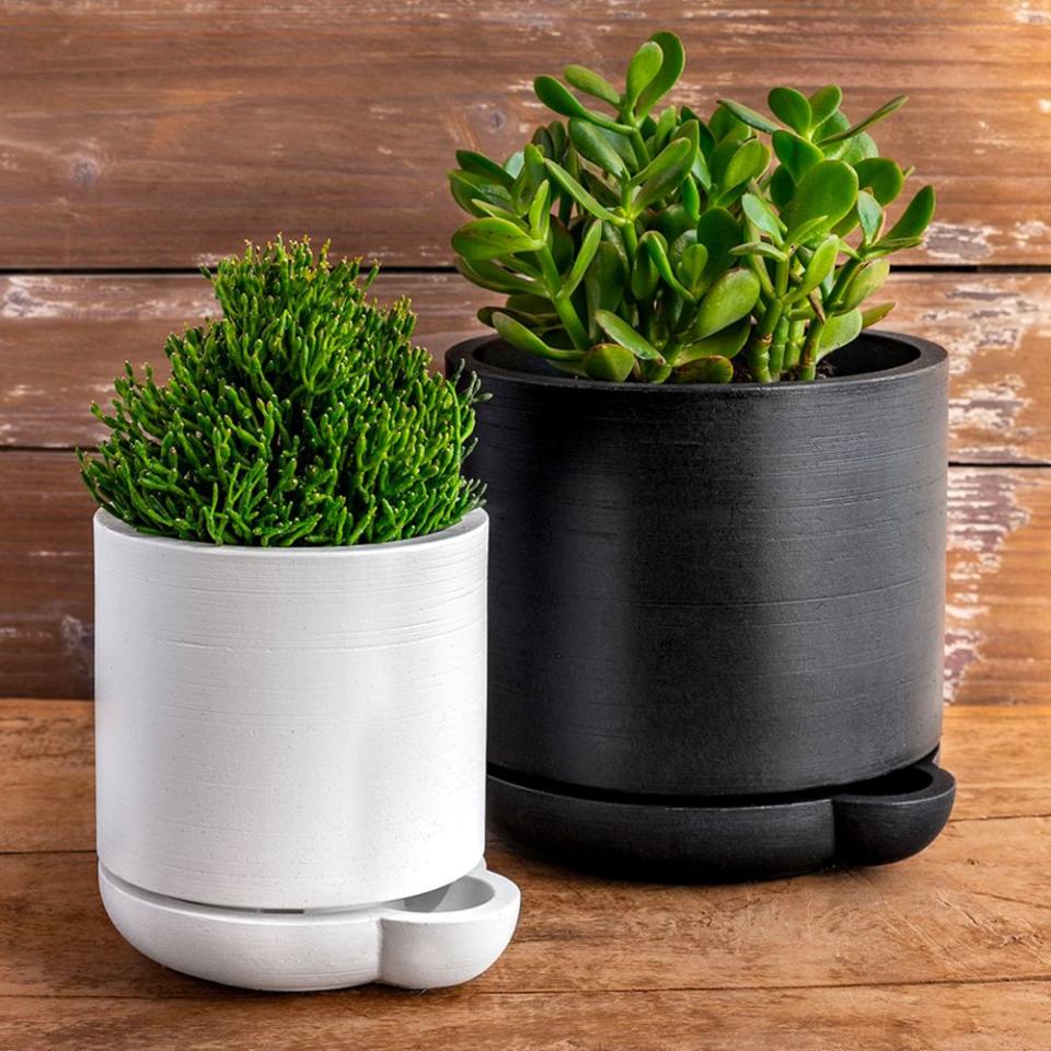 <p><a href="https://go.redirectingat.com?id=74968X1596630&url=https%3A%2F%2Fwww.westelm.com%2Fproducts%2Fthe-simple-pot-1-quart-d8854&sref=https%3A%2F%2Fwww.housebeautiful.com%2Flifestyle%2Fgardening%2Fg44926579%2Fbest-self-watering-planters-pots%2F" rel="nofollow noopener" target="_blank" data-ylk="slk:Shop Now;elm:context_link;itc:0;sec:content-canvas" class="link ">Shop Now</a></p><p>The Simple Self-Watering Pot</p><p>westelm.com</p><p>$129.00</p>