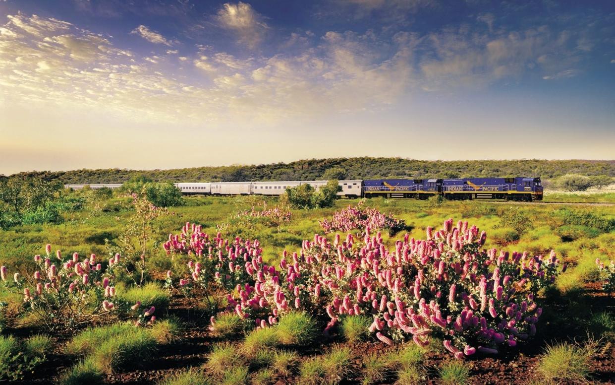 Travel 2,700 miles across Australia on the Indian Pacific