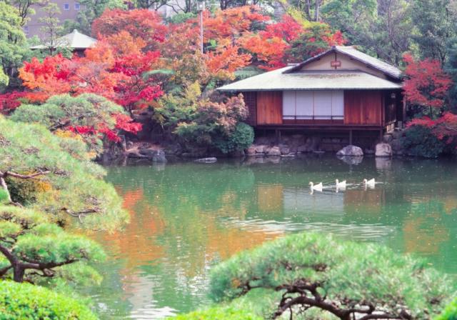 21 楓葉前線 神戶有馬溫泉 六甲山秘境森林 市街區3路線賞楓景