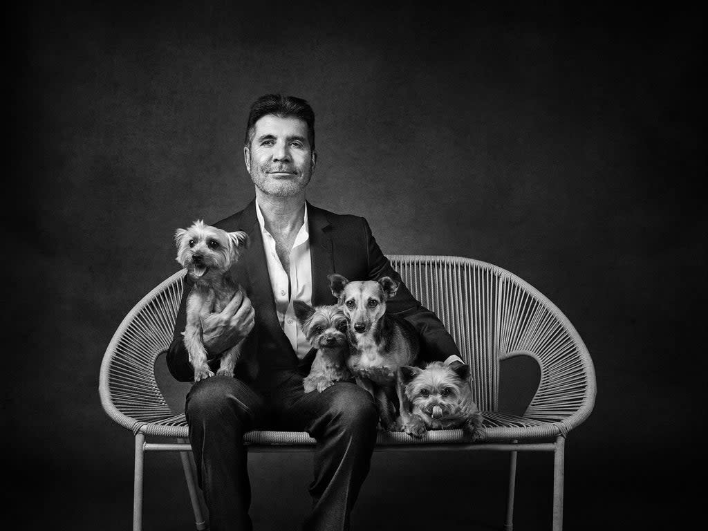 Simon Cowell with his dogs Squiddly, Diddle, Freddy and Daisy (Andy Gotts / SWNS)