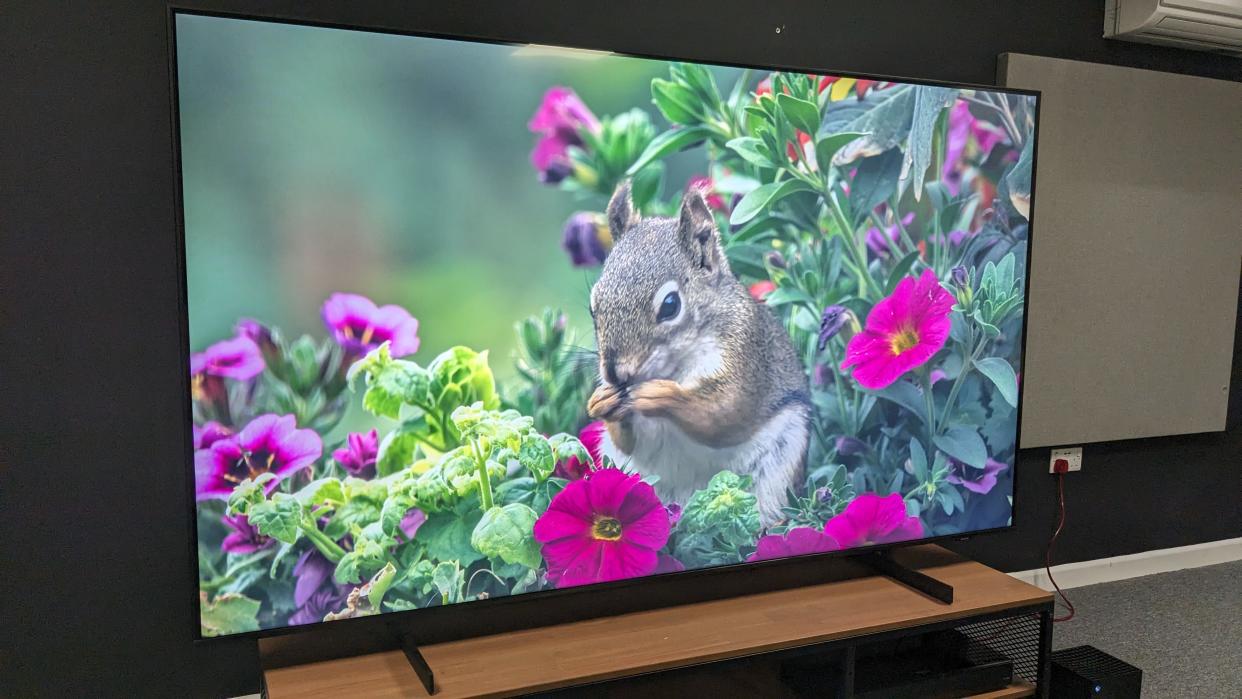  Samsung CU8000 with squirrel on screen . 