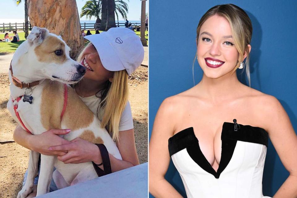 <p>Sydney Sweeney/Instagram; Todd Owyoung/NBC via Getty</p> Sydney Sweeney and dog Tank.