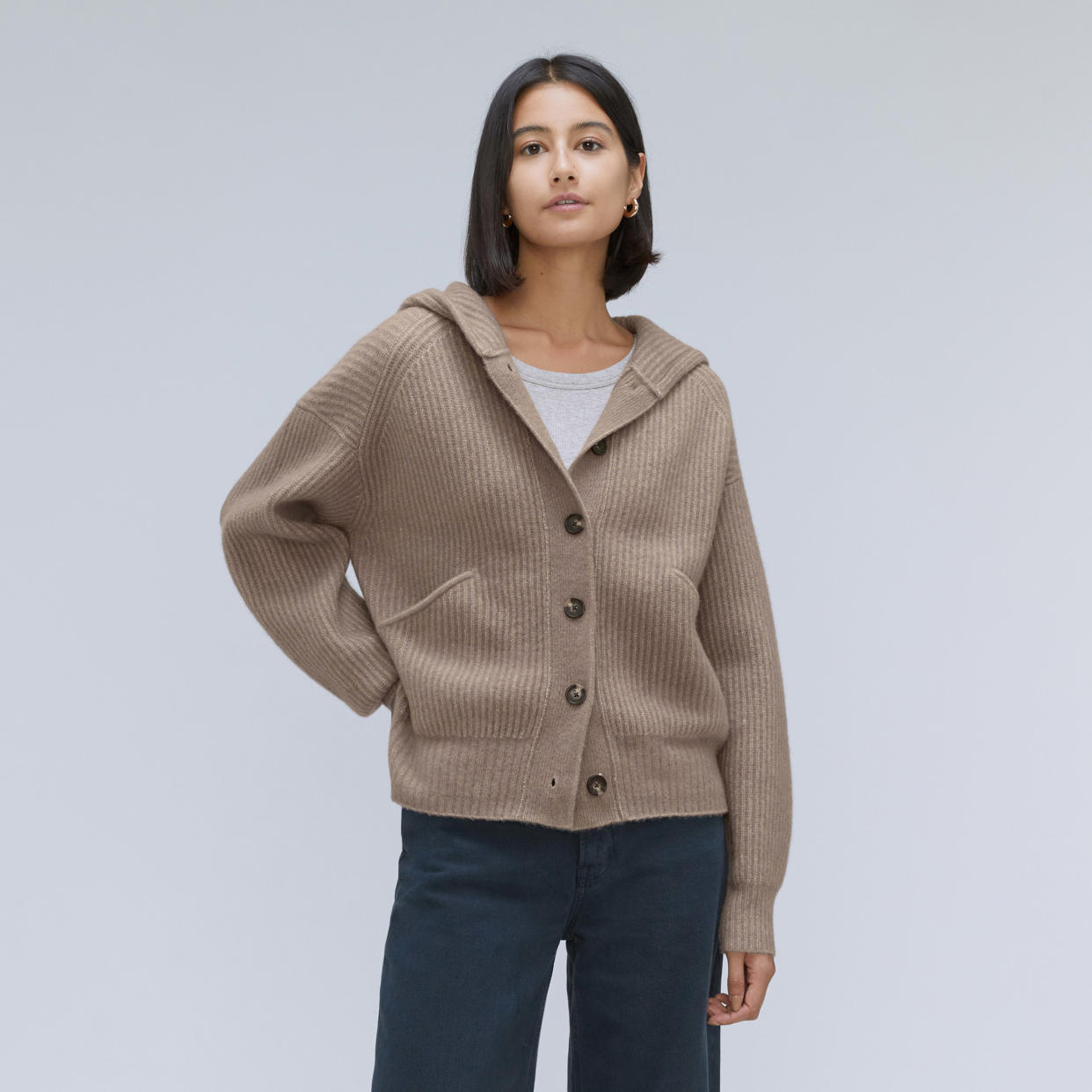 Everlane Cozy-Stretch Hooded Cardigan (Everlane / Everlane)