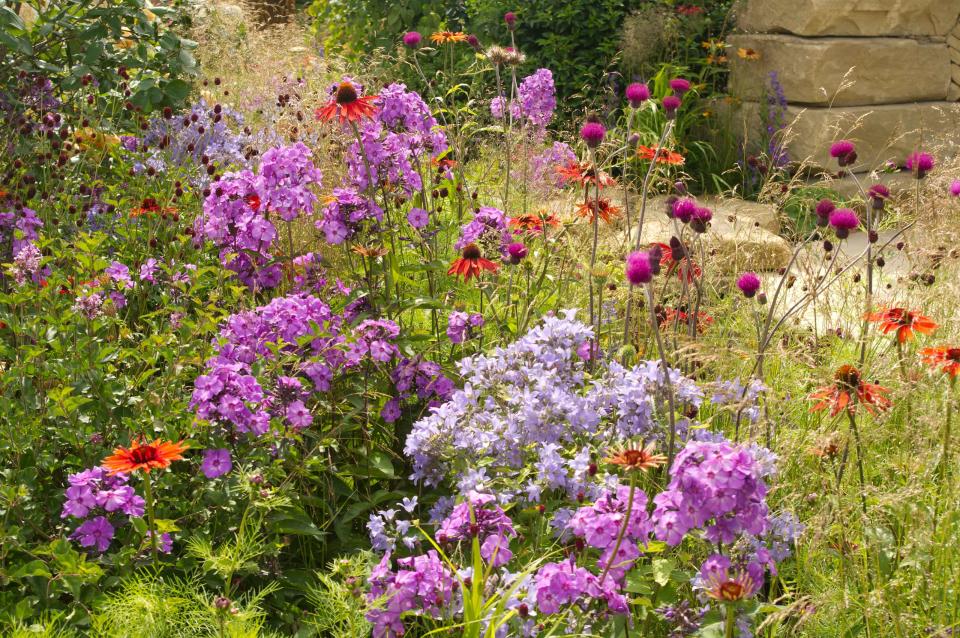 WHAT ARE THE BEST PLANTS FOR WILDLIFE GARDEN IDEAS?