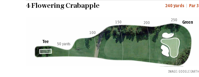 Augusta hole 4