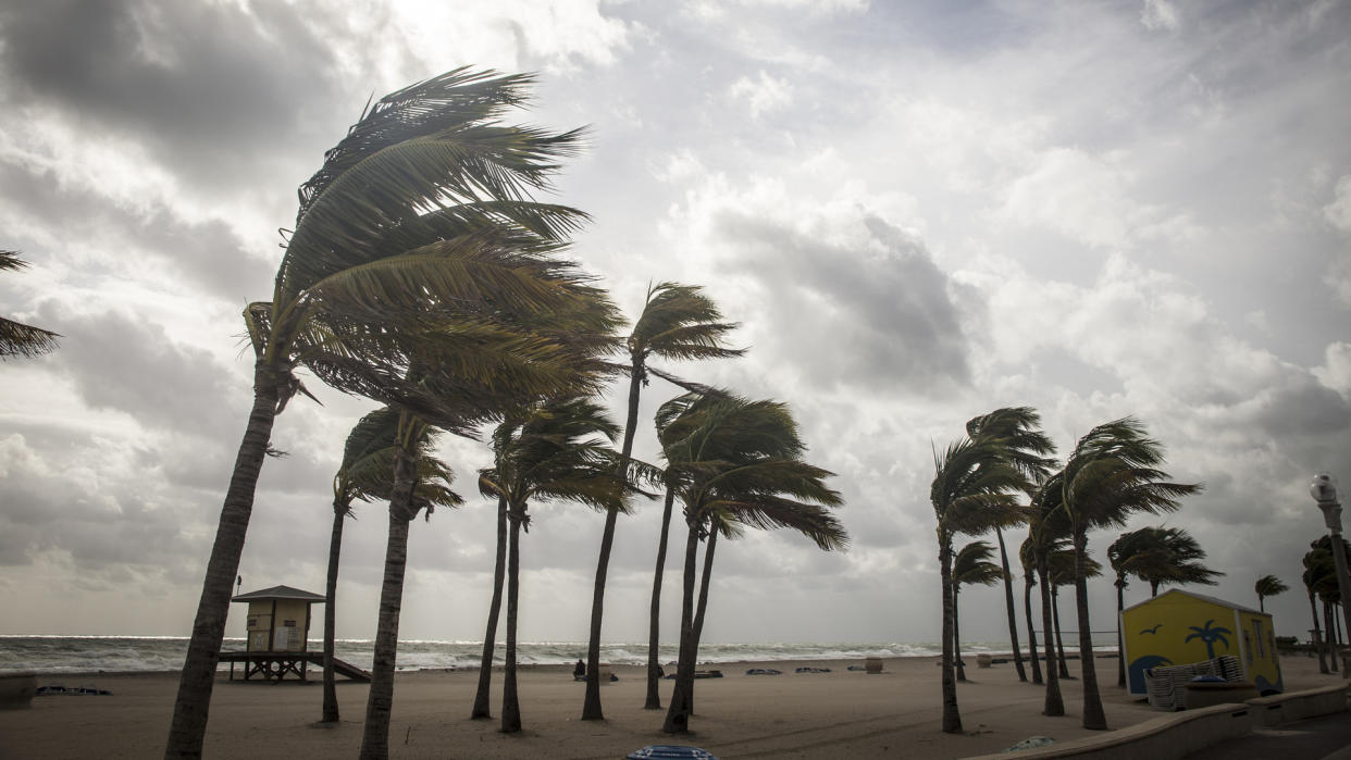 lisatop / Getty Images/iStockphoto