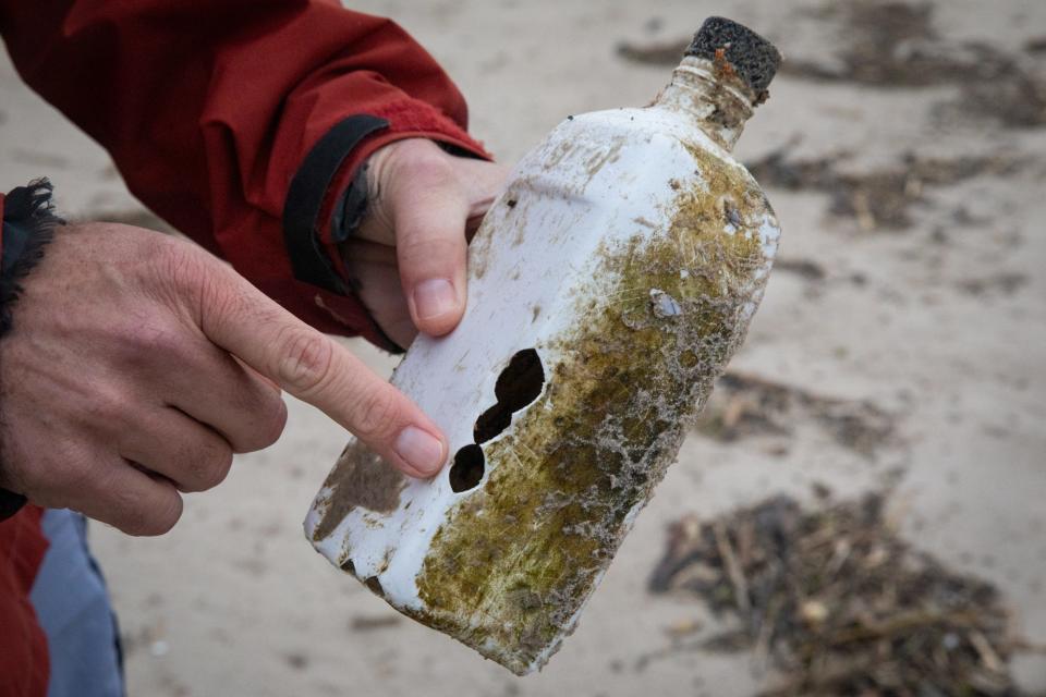 Jace Tunnell, a marine biologist and community engagement director with Harte Research Institute, explains holes in a plastic oil container at Padre Island National Seashore on Tuesday, March 19, 2024, in Corpus Christi, Texas. Young sea turtles mistake plastic objects for food and take angular bites, Tunnell explained.