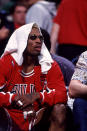 1997: Dennis Rodman of the Chicago Bulls on the bench during the a Bulls playoff game versus the Atlanta Hawks at the Omni Center in Atlanta, GA. (Photo by John Biever/Icon Sportswire via Getty Images)